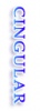 CINGULAR